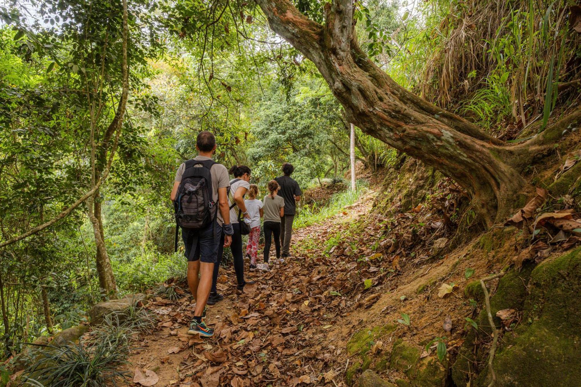 Simpson'S Forest - Luxury Boutique Resort & Spa - Kandy Exteriör bild