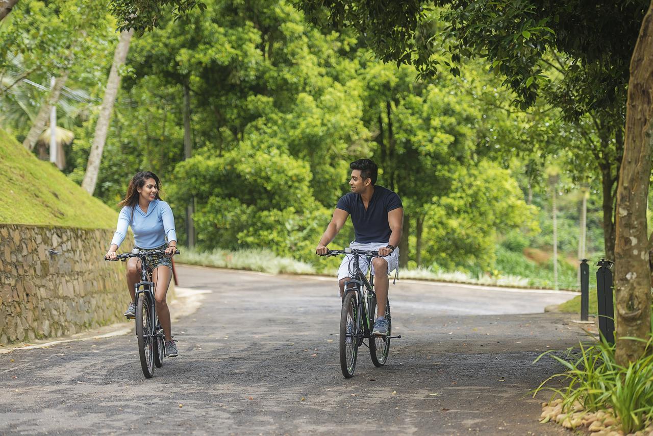 Simpson'S Forest - Luxury Boutique Resort & Spa - Kandy Exteriör bild
