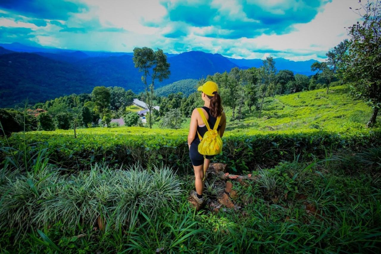 Simpson'S Forest - Luxury Boutique Resort & Spa - Kandy Exteriör bild