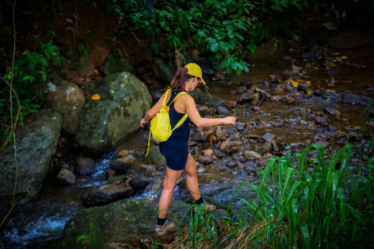 Simpson'S Forest - Luxury Boutique Resort & Spa - Kandy Exteriör bild