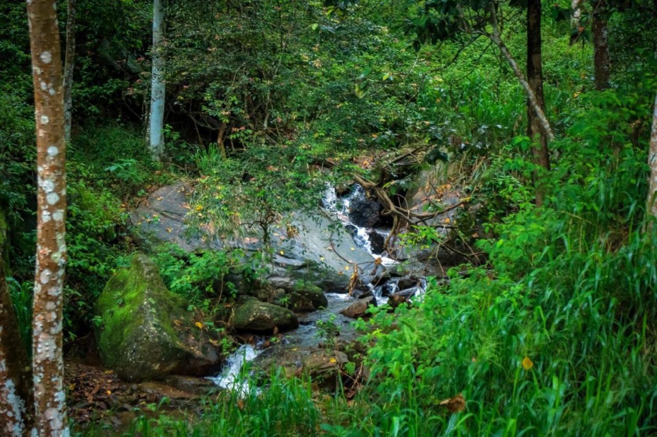Simpson'S Forest - Luxury Boutique Resort & Spa - Kandy Exteriör bild