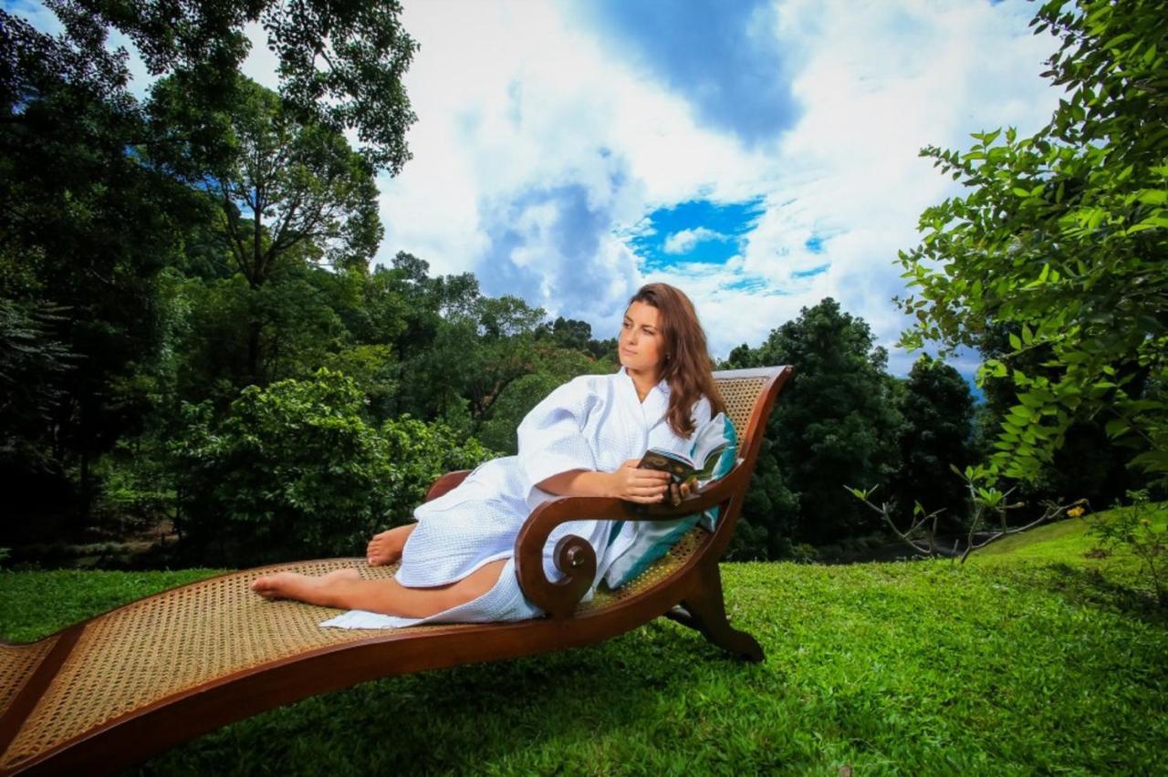 Simpson'S Forest - Luxury Boutique Resort & Spa - Kandy Exteriör bild